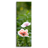 Canvas Print Botany Poppy Flowers 40x120 cm