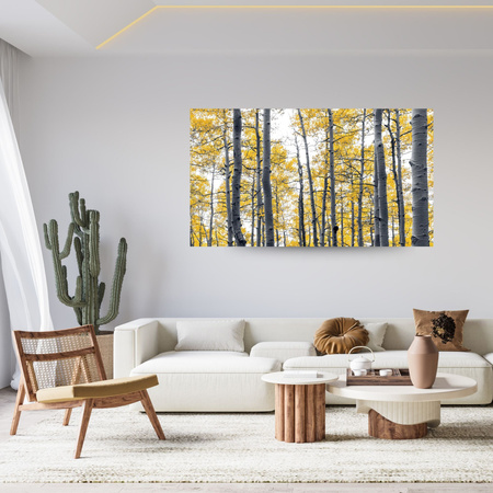 Canvas Print Birches Yellow Leaves Nature Spring 120x80 cm