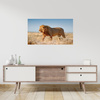 Canvas Print Walking Lion on Savannah Grass 80x50 cm