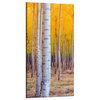Canvas Print Birch Trees Autumn Yellow Leaves 60x120 cm