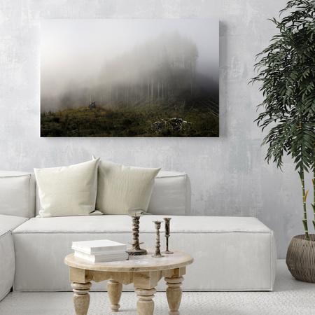 Canvas Print Nature Fog_2 40x30 cm