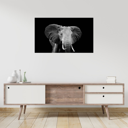 Canvas Print Gray Large Elephant on Black Background 100x80 cm