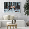 Canvas Print Animals Canadian Deer 40x30 cm