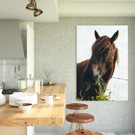 Canvas Print Animals Horse 30x40 cm