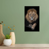 Canvas Print Gray Lion Face Wildness 80x120 cm