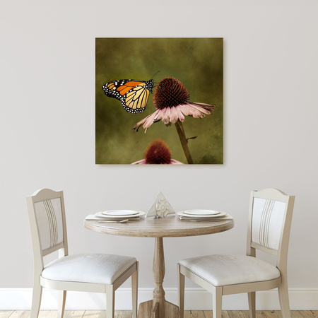 Canvas Print Botany Butterfly Flower 40x40 cm