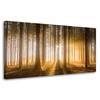 Canvas Print Sun in the Forest Light Tree 80x40 cm