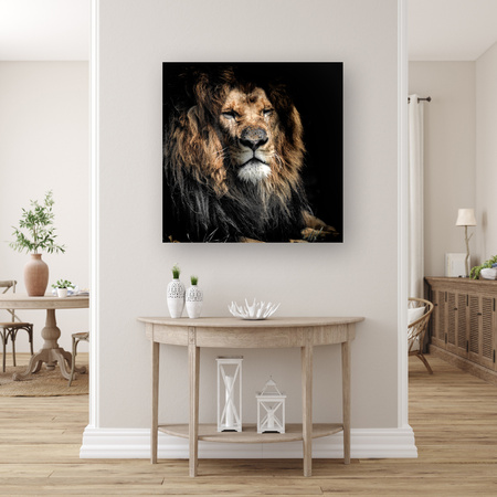 Canvas Print Adult Lion Animal 90x90