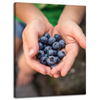 Canvas Print Kitchen Blueberries 30x40 cm