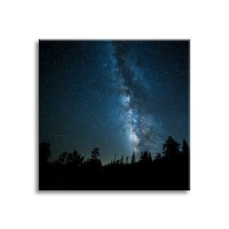 Canvas Print Space Night Forest Nebula 90x90