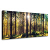 Canvas Print Forest Sun Trees Spring Morning 80x40 cm