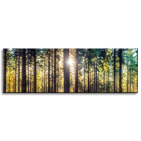 Canvas Print Forest Sun Trees Spring Morning 120x40 cm