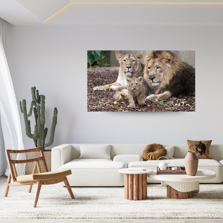 Canvas Print Lion Family Photo Nature 100x80 cm