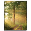 Canvas Print Sunlight Forest Path Nature 30x40 cm