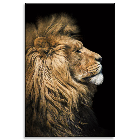Canvas Print Portrait of a Lion Sideways Wild Nature 80x120 cm
