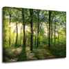 Canvas Print Sun Forest Trees Rays of Light 40x30 cm