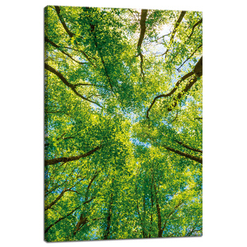 Canvas Print Trees Leaves Nature Forest Spring 40x60 cm