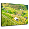 Canvas Print Nature Agricultural Terraces 40x30 cm