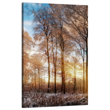 Canvas Print Trees Winter Rising Sun 50x80 cm