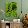Canvas Print Botany Fern Leaves 30x40 cm