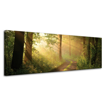 Canvas Print Sunlight Forest Path Nature 120x40 cm