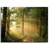 Canvas Print Sunlight Forest Path Nature 40x30 cm