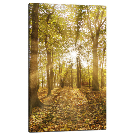 Canvas Print Sun Between Trees in the Forest 60x100 cm