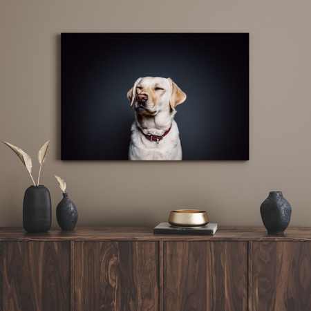 Canvas Print Animals Labrador 40X30 cm