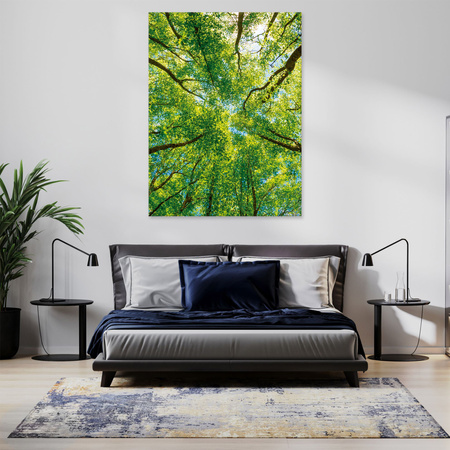 Canvas Print Trees Leaves Nature Forest Spring 40x60 cm