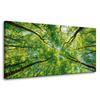 Canvas Print Trees Leaves Nature Forest Spring 80x40 cm