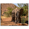 Canvas Print Elephant Africa Water Mud Sun 100x80 cm