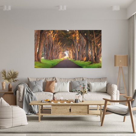 Canvas Print Path Between Trees Nature 120x80 cm