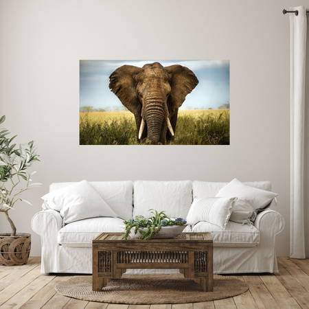 Canvas Print Elephant in Tall Grass Africa 100x80 cm