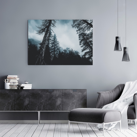 Canvas Print Nature Treetops 40x30 cm