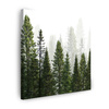 Canvas Print Rain Forest Nature Trees 80X80 cm