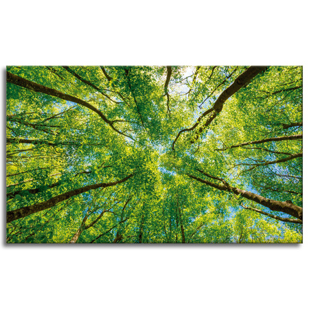 Canvas Print Trees Leaves Nature Forest Spring 100x60 cm