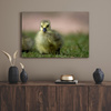 Canvas Print Animals Duck 40x30 cm