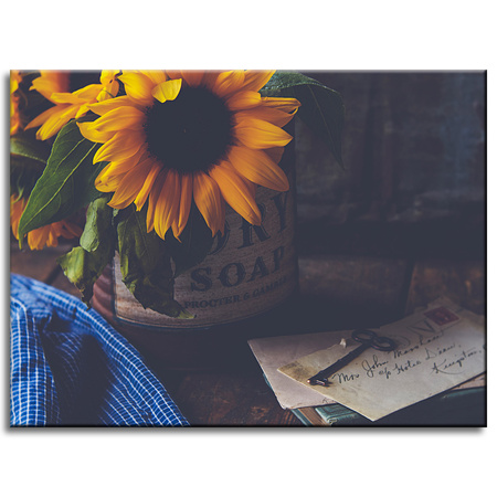 Canvas Print Botanical Sunflower Vintage 40x30 cm