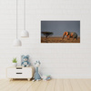 Canvas Print Elephant Savannah Africa Sky Grass 100x80 cm