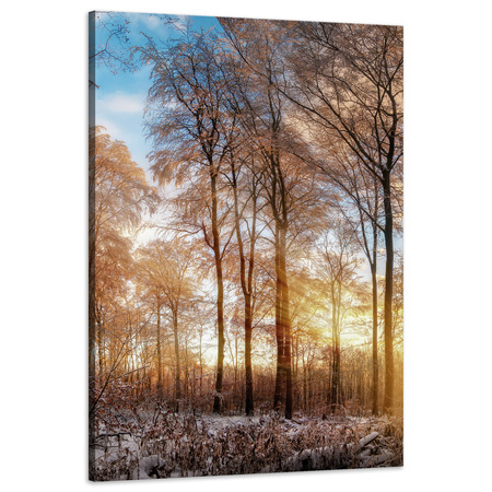 Canvas Print Trees Winter Rising Sun 60x90 cm