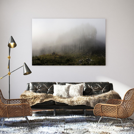 Canvas Print Nature Fog_2 40x30 cm