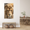 Canvas Print Terrible Beautiful Lion Brightness Animal 80x120 cm