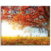 Canvas Print Beautiful Tree Red Leaves Autumn 100x80 cm