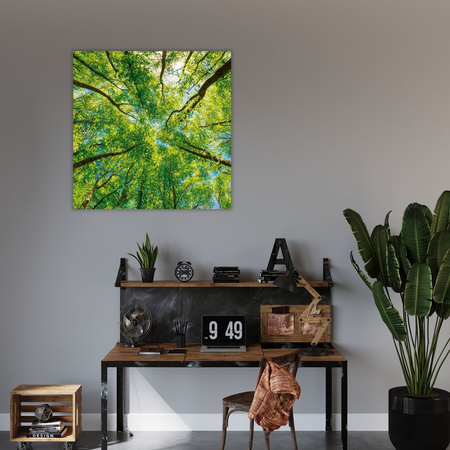 Canvas Print Trees Leaves Nature Forest Spring 60X60 cm