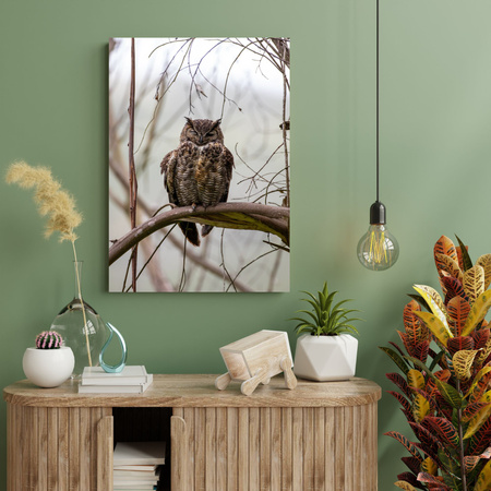 Canvas Print Animals Sleeping Owl 40x120 cm