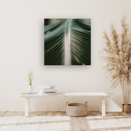 Canvas Print Nature Palm Leaf 90x90