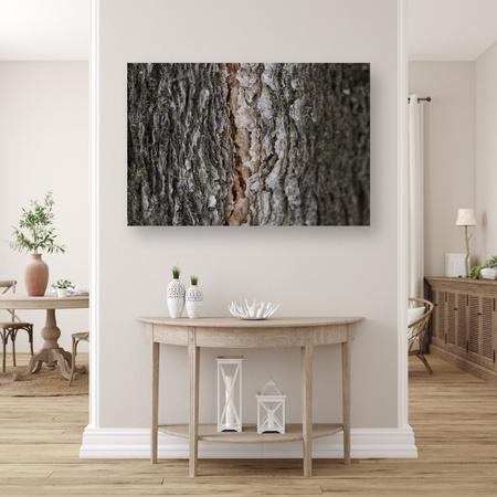 Canvas Print Nature Tree Bark 90x60