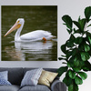 Canvas Print Animals Pelican 40x40 cm