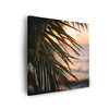 Canvas Print Nature Beach Palm Tree Sea Sunset 90x90