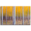 Canvas Print Birch Trees Autumn Yellow Leaves 80x50 cm